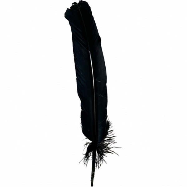 Black Feather